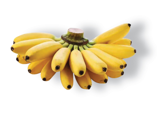 เนื้อหวีกล้วย (F-Lump)